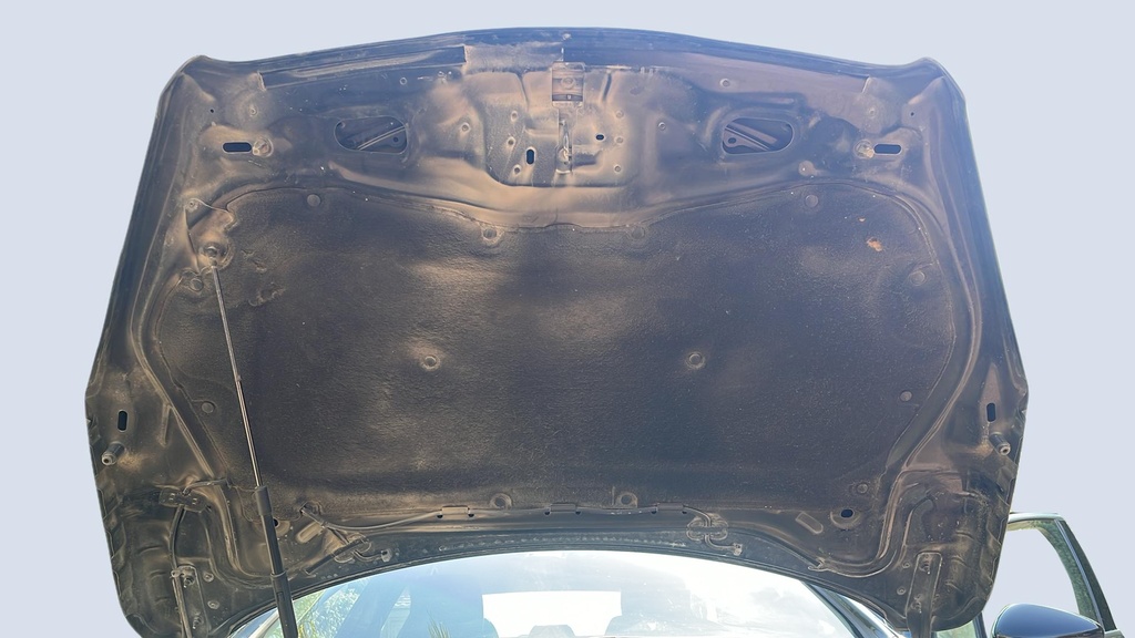 CAR HOOD