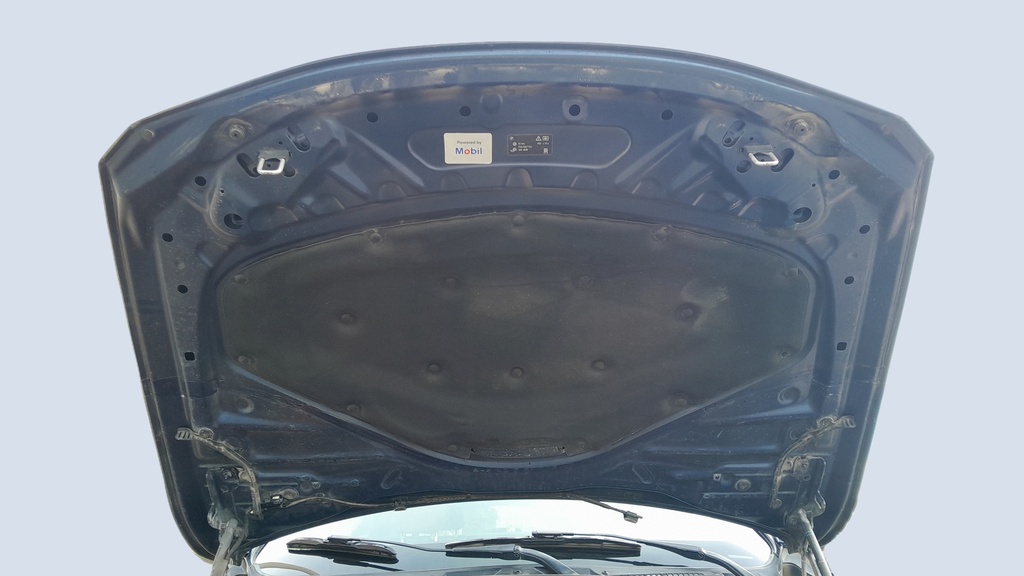 CAR HOOD