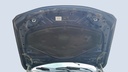 CAR HOOD