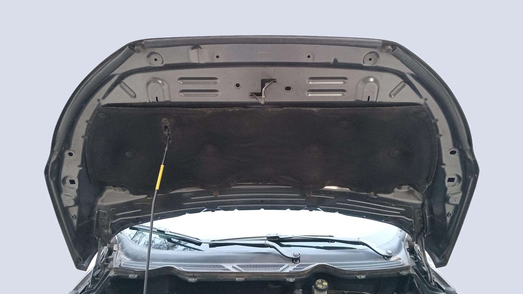 CAR HOOD