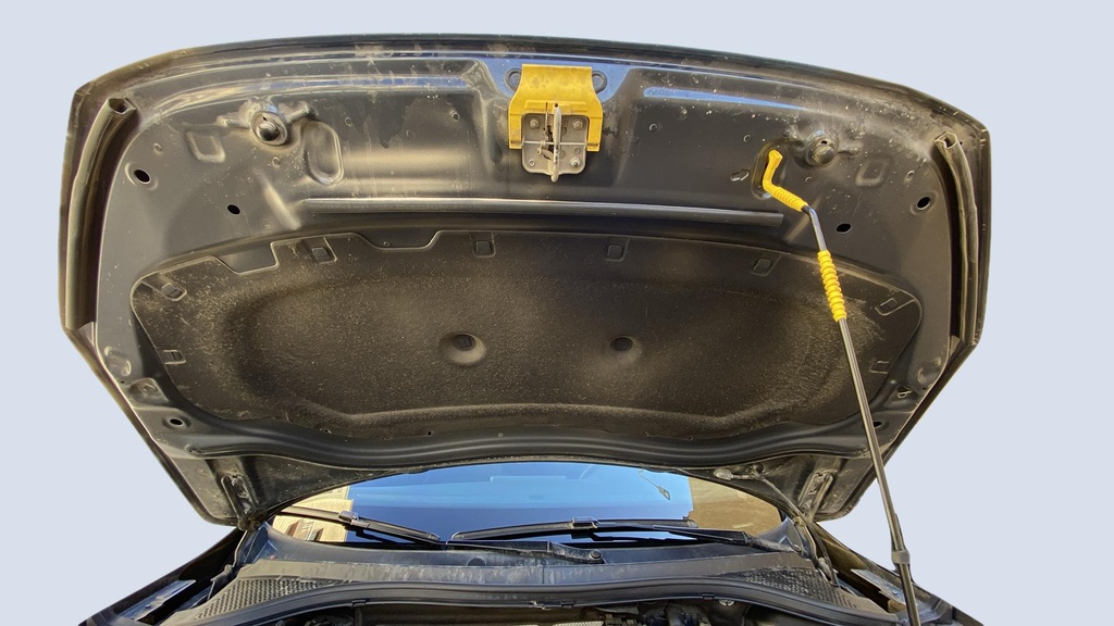 CAR HOOD