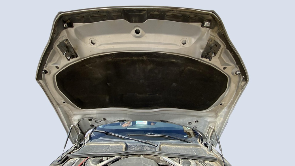 CAR HOOD