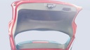 TRUNK HOOD