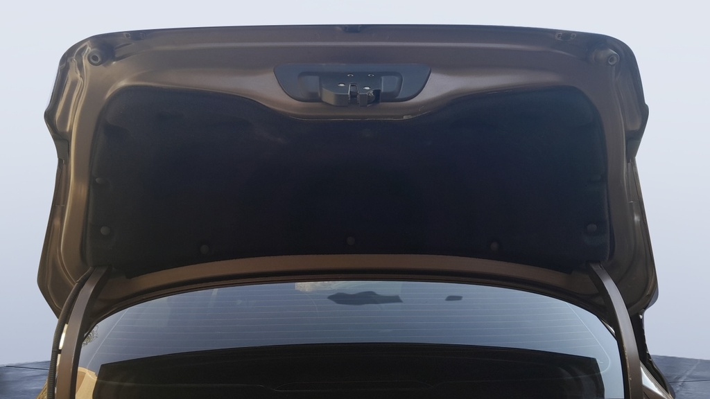 TRUNK HOOD