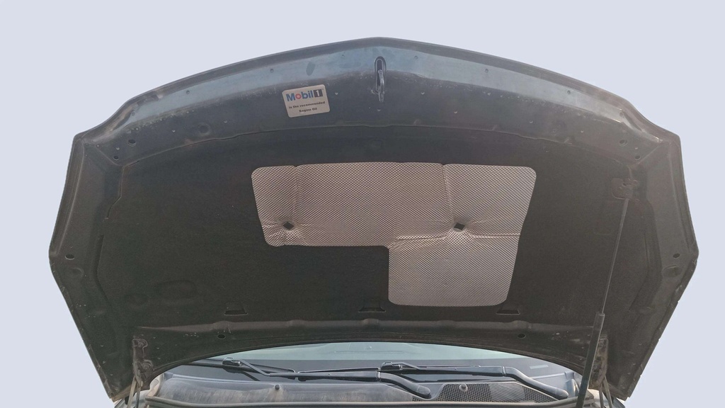 CAR HOOD
