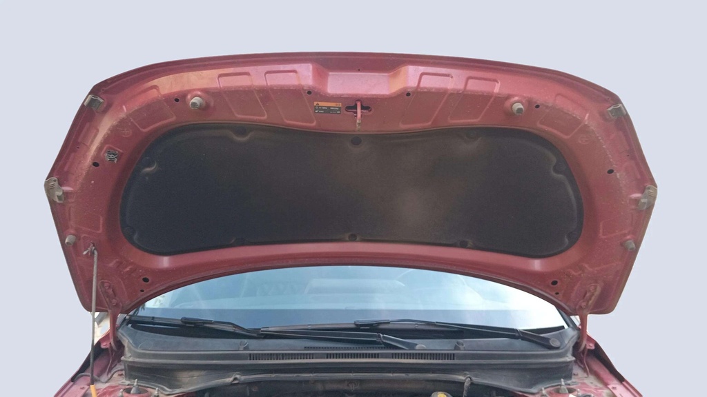 CAR HOOD