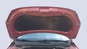 CAR HOOD