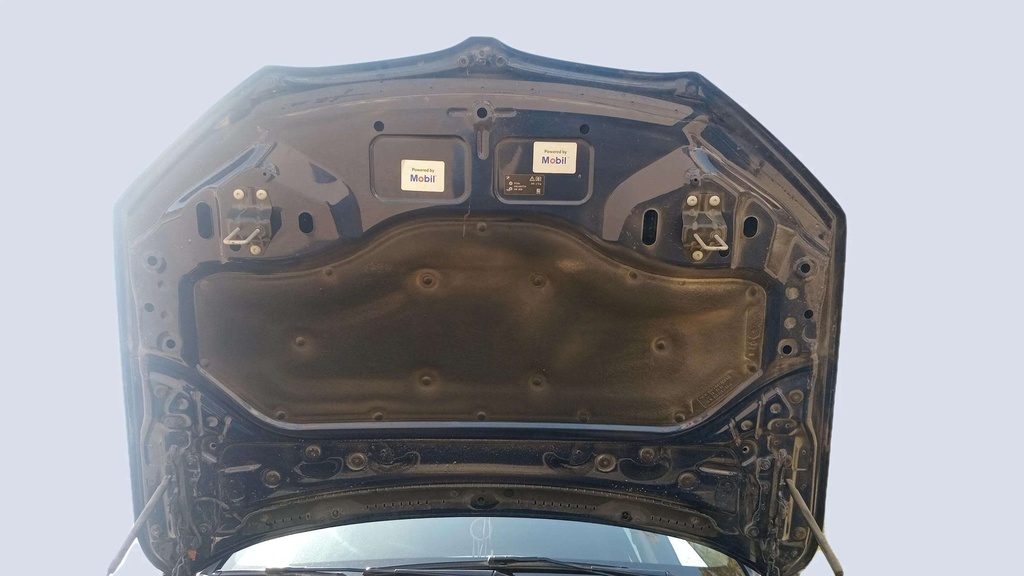 CAR HOOD