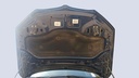 CAR HOOD