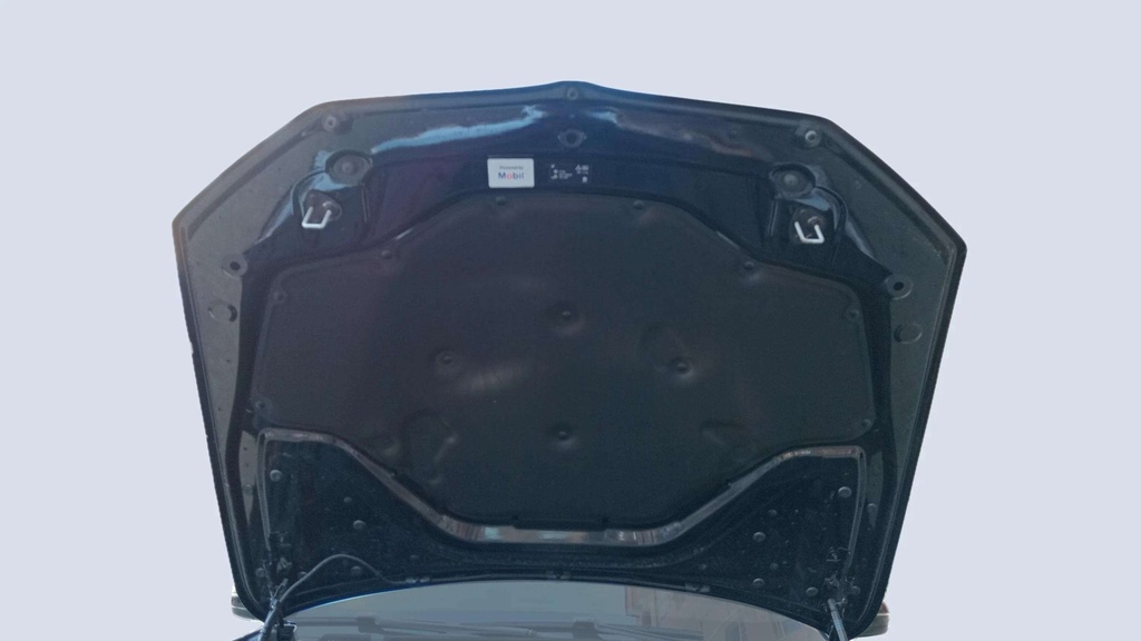 CAR HOOD