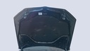 CAR HOOD