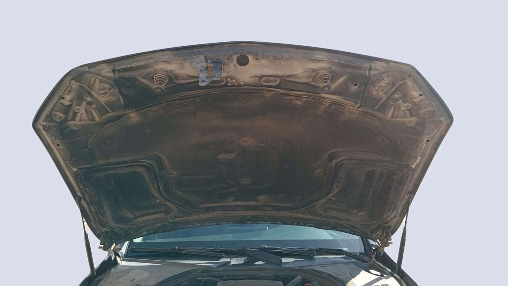 CAR HOOD