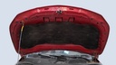 CAR HOOD
