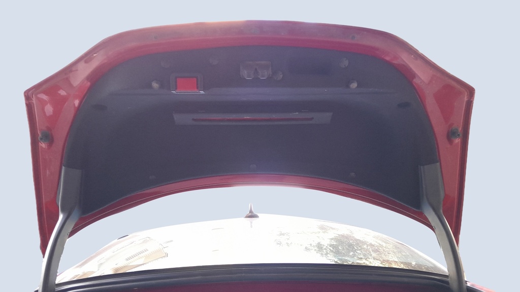 TRUNK HOOD
