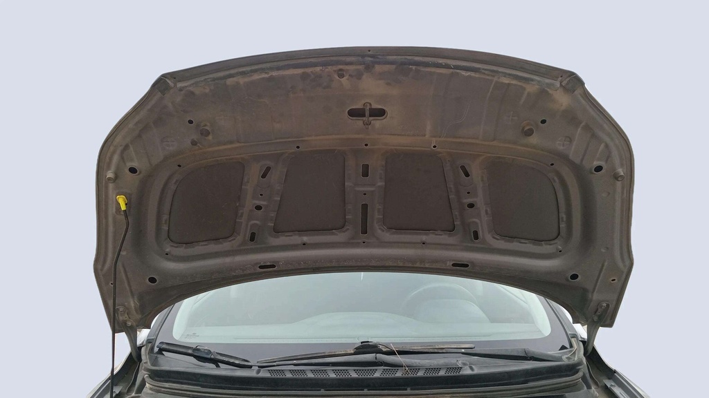 CAR HOOD