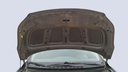 CAR HOOD