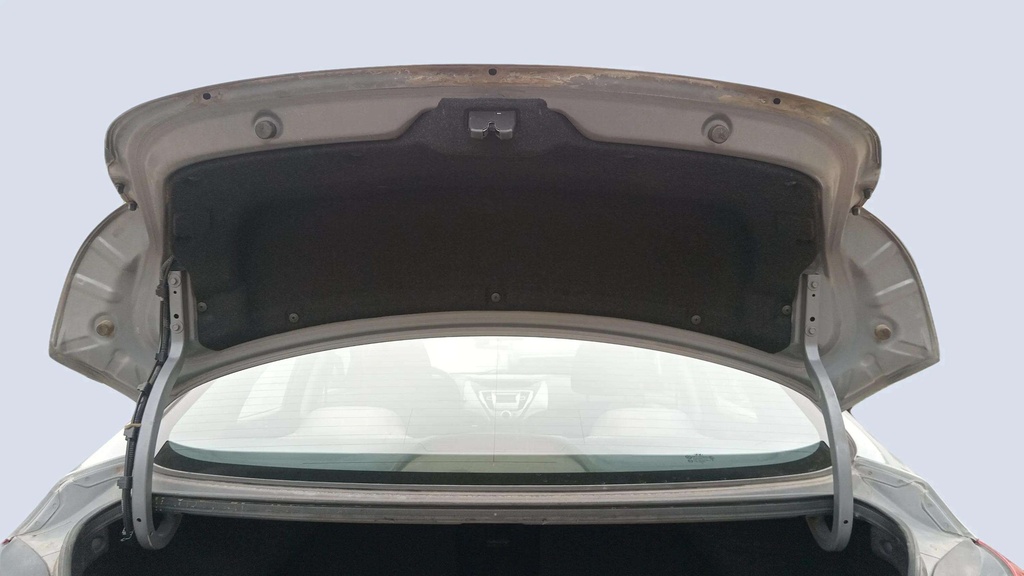 TRUNK HOOD