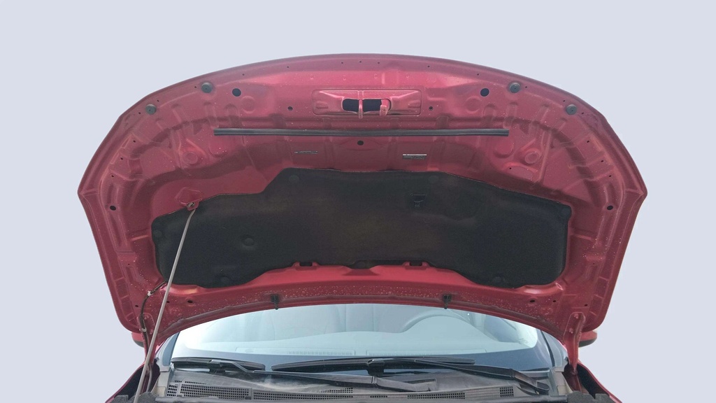 CAR HOOD