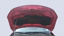 CAR HOOD
