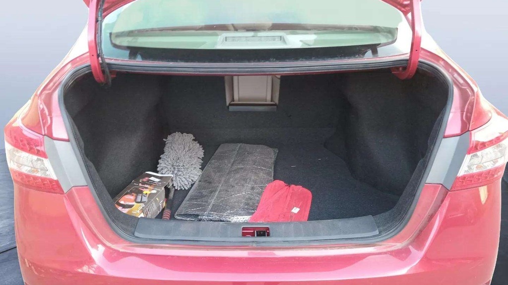 TRUNK