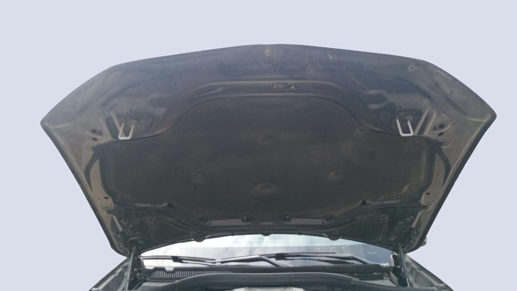 CAR HOOD