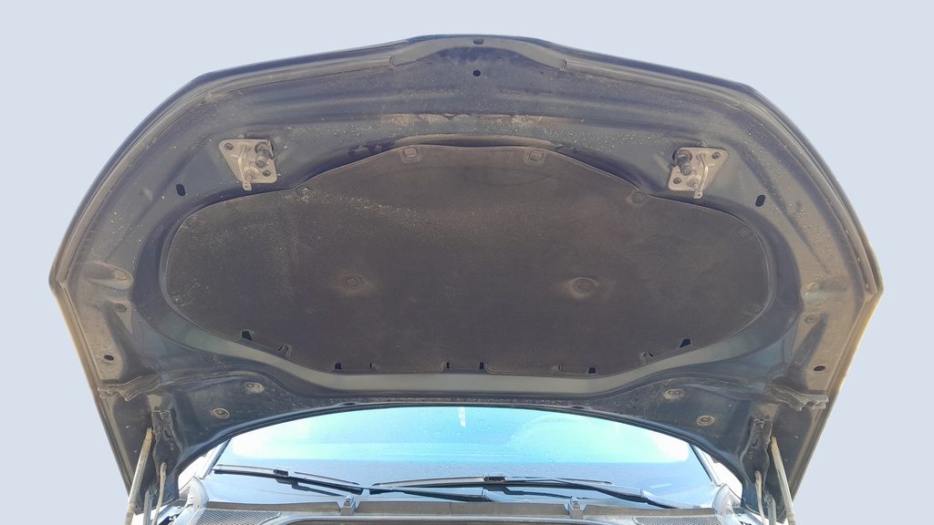 CAR HOOD