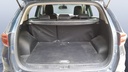 TRUNK