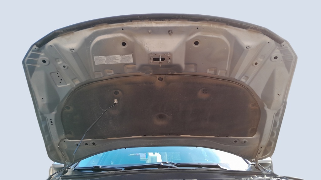 CAR HOOD