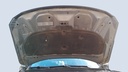 CAR HOOD