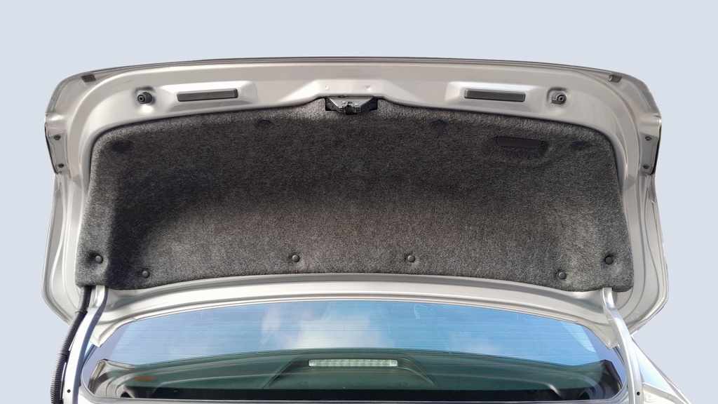 TRUNK HOOD