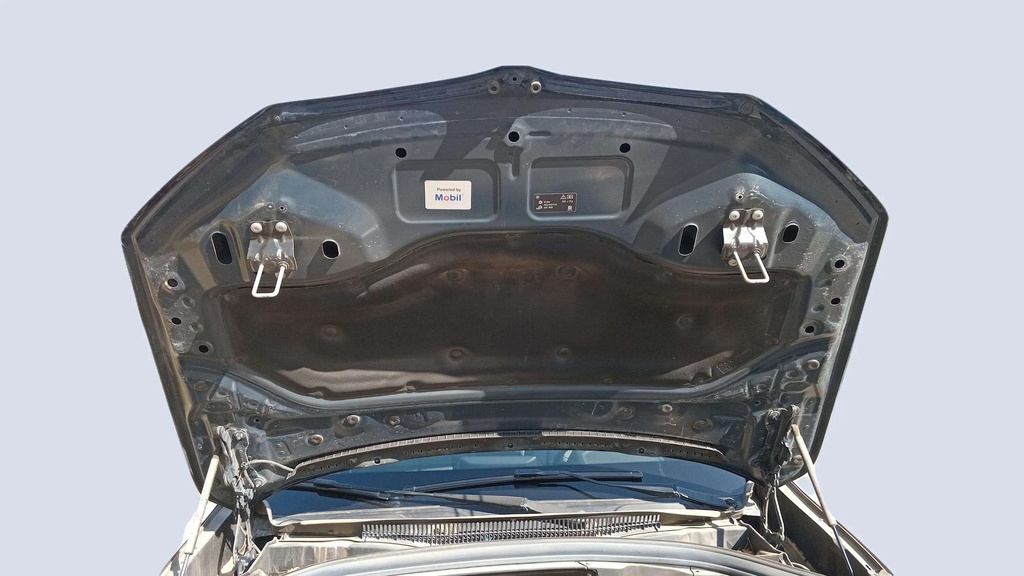 CAR HOOD