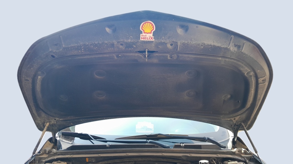 CAR HOOD