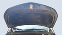 CAR HOOD