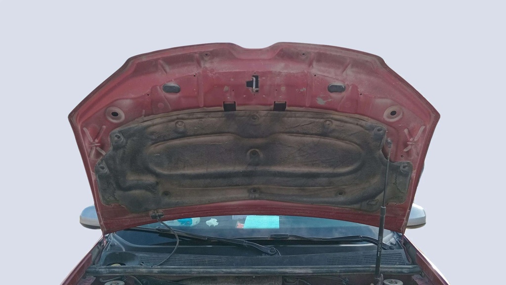 CAR HOOD