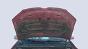 CAR HOOD