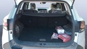 TRUNK