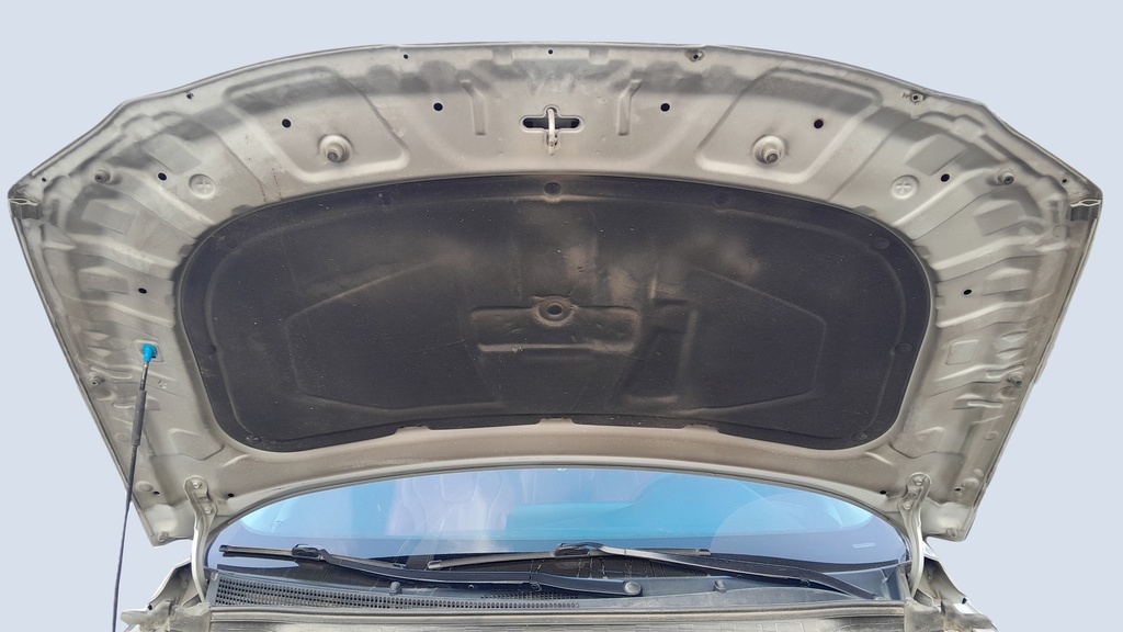 CAR HOOD