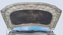 CAR HOOD