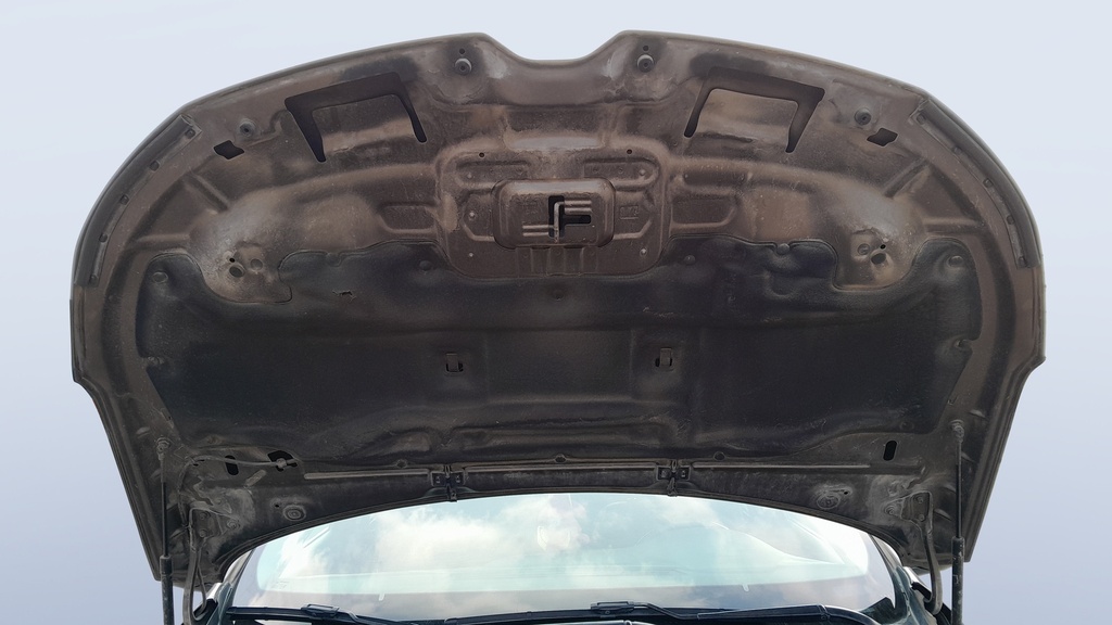 CAR HOOD
