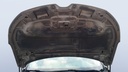 CAR HOOD