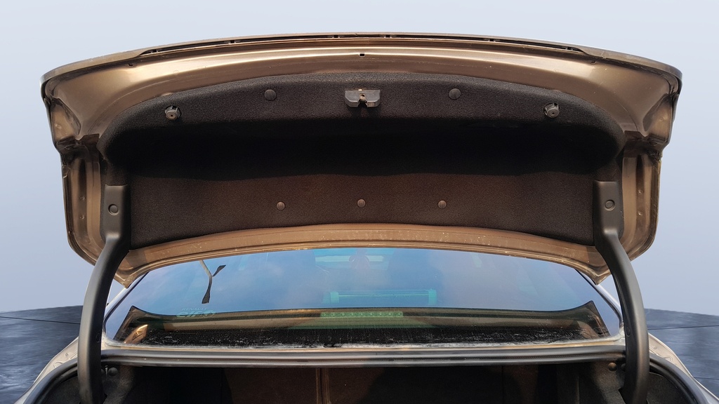 TRUNK HOOD