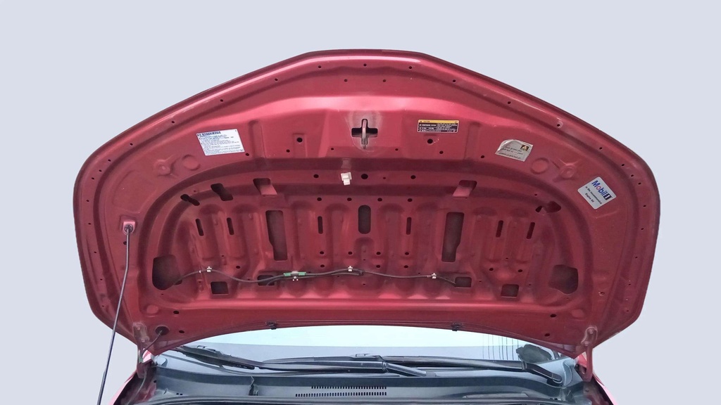 CAR HOOD