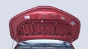 CAR HOOD