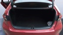 TRUNK