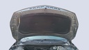 CAR HOOD