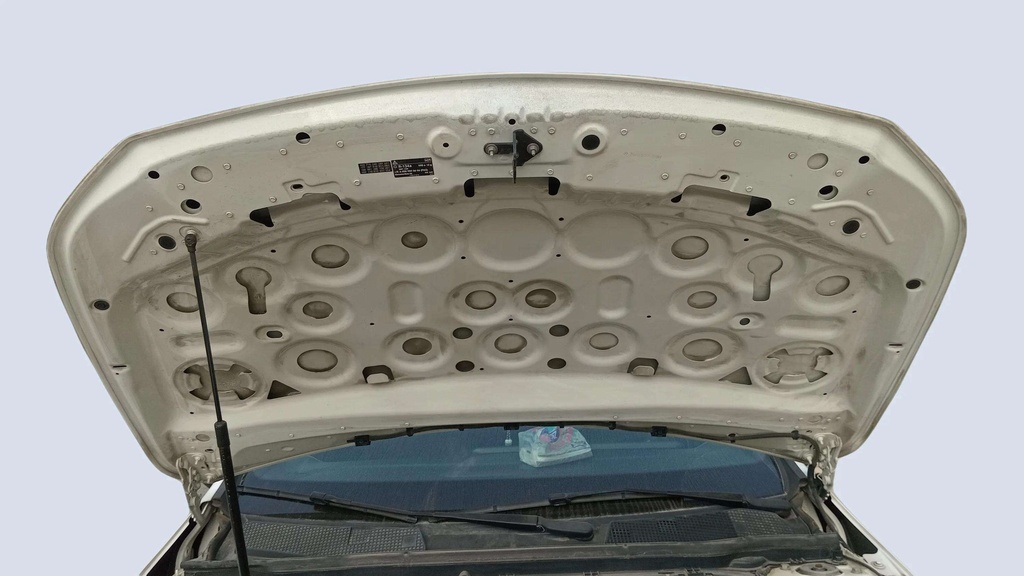 CAR HOOD