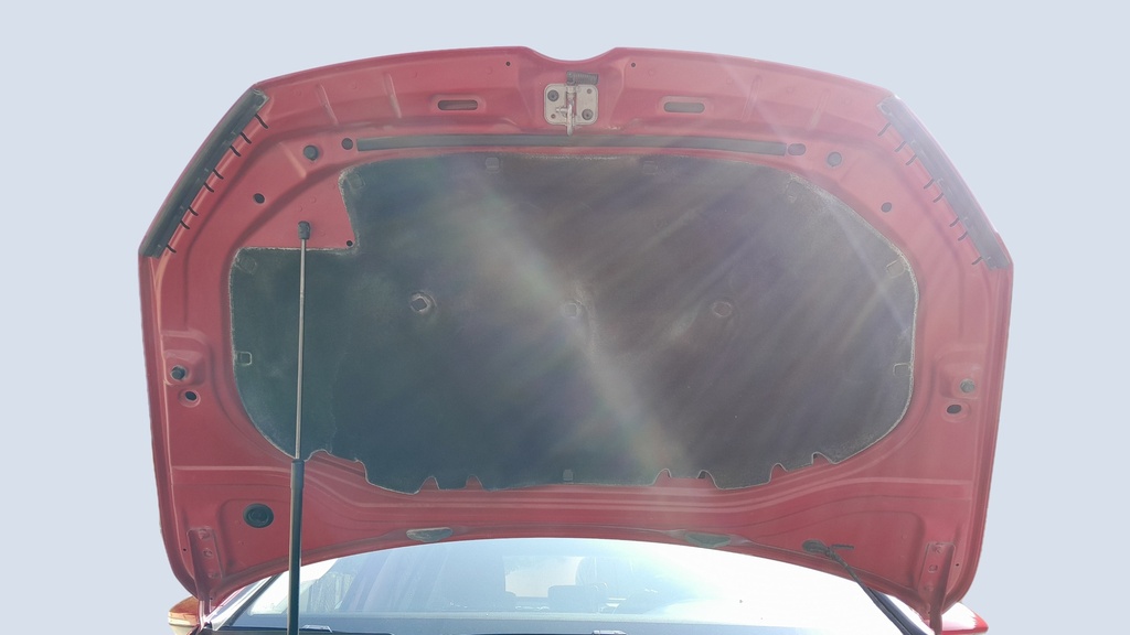 CAR HOOD