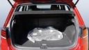 TRUNK