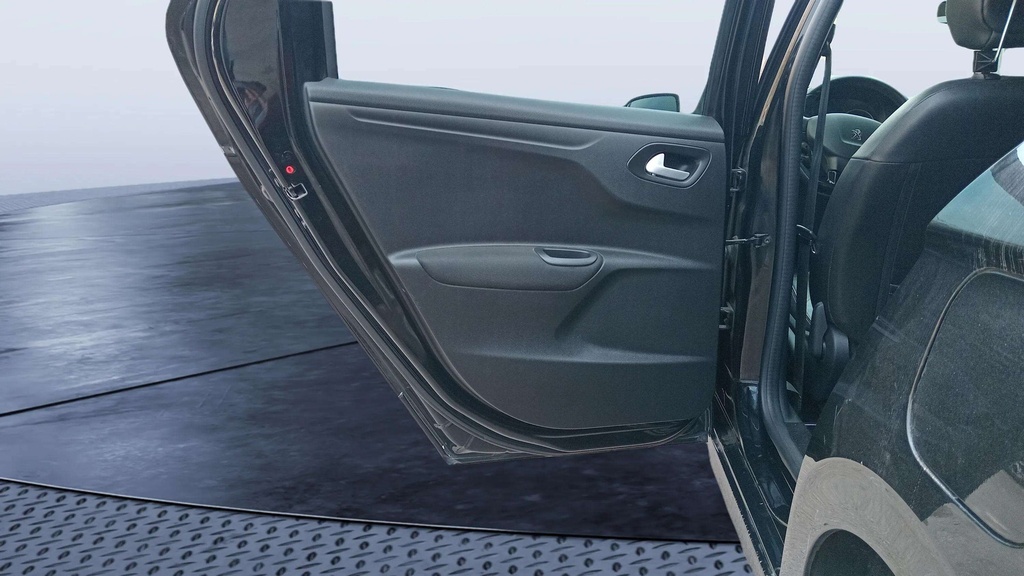 RR L DOOR