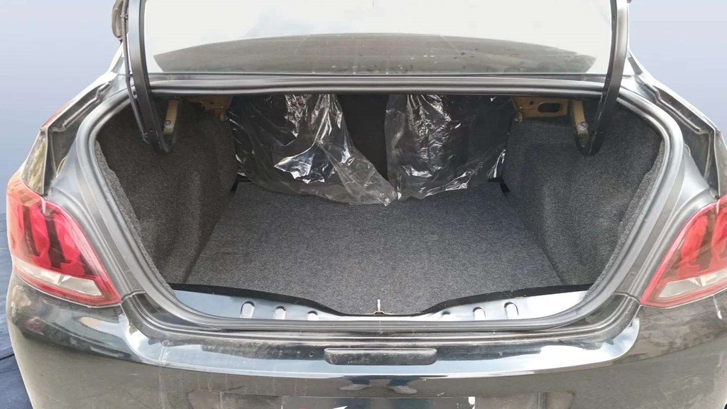 TRUNK